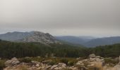 Excursión Senderismo Zonza - Bocca d'Illarata vers bergerie de Luviu - Photo 2