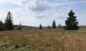 Tour Wandern Malmedy - La cascade du Bayehon  - Photo 2