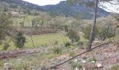 Trail Walking La Celle - Le dolmen de l'Amarron - Photo 9