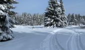 Tocht Sneeuwschoenen Malmedy - Randonnée raquettes Mont Spinette-Malmédy - Photo 6