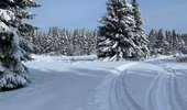 Percorso Racchette da neve Malmedy - Randonnée raquettes Mont Spinette-Malmédy - Photo 6