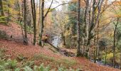 Tour Wandern La Bourboule - Bourboule-puy-st-roch-retour-Bourboule - Photo 6