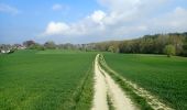 Tocht Stappen Linkebeek - Promenade 3: Par champs et prés - Photo 4