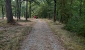 Trail Walking Somme-Leuze - Marche ADEPS à  Baillonville. Beau parcours de 10km400. - Photo 4