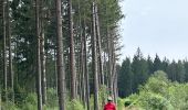 Tocht Paardrijden Vielsalm - Mont-le-Soie Boucle orange - Photo 6