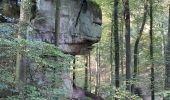 Tour  Consdorf - Consdorf - Echternach par le Mullerthal Trail - Photo 8