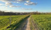 Trail Walking Asse - Zellik 8,5 km - Photo 1