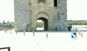 Tour Elektrofahrrad Arles - CrinBlanc-Aigurd-Morted - Photo 1