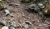 Tour Wandern Flassan - la chapelle St Jean d après le P´tit Craphut - pays du Ventoux Dentelles de Montmirail - Photo 11