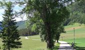 Tocht Stappen Bouvante - col du carri - Photo 7