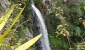 Excursión Senderismo Le Tampon - Cascade Voile de la Mariée- Grand Bassin - Photo 1