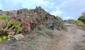 Trail Walking Port-Vendres - batterie - collioure . fort sant elme .port vendres . la mauresque - Photo 2