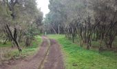 Trail Walking Garachico - Arenas Negras - Photo 8