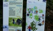 Trail On foot Osse-en-Aspe - LOURDIOS ICHERE chemin de la mâture d issaux  G3 le 11/09/2020 (fait) - Photo 9