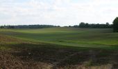 Tour Zu Fuß Gerswalde - Stiernseerundweg - Photo 3