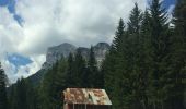 Percorso A piedi Cortina d'Ampezzo - IT-208 - Photo 1