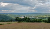 Trail Walking Theux - autour du Maquisart - Photo 8