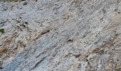 Percorso Marcia Gavarnie-Gèdre - pic de la mounia - Photo 5