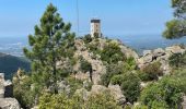 Trail Walking Fréjus - Le Vinaigre depuis le pont de la Bécasse  - Photo 7