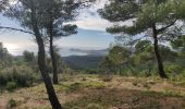 Excursión Senderismo La Cadière-d'Azur - Télégraphe par la Louisiane  - Photo 6