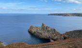 Excursión Senderismo Plogoff - Rando autour de la Pointe du Raz - Photo 2