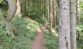 Trail Walking Le Hohwald - le hohwald, boucle 