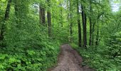 Trail Walking Hamoir - comblain la tour . xhygnesse . comblain fairon . comblain la tour - Photo 17