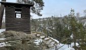 Randonnée A pied Sebnitz - Blauer Strich, Sächsische Schweiz (rechtselbisch) - Photo 6