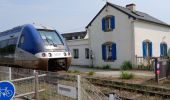 Tour Mountainbike Auray - 56-v45_auray_quiberon_44km - Photo 6