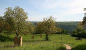 Percorso A piedi Sankt Goarshausen - Bergbau- und Landschaftspfad Ehrenthal-Prath-Wellmich - Photo 4