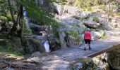 Randonnée Marche Vivario - cascade  de manganello et de meli - Photo 7