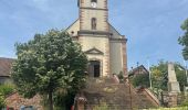 Trail Walking Barr - Domaine Saint Jacques , Obernai  - Photo 8