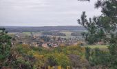 Tour Wandern Champcueil - Boucle Champcueil - Photo 7