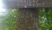Tour Wandern Bouillon - Frahan Montragut - Photo 11