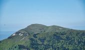Randonnée Marche Saint-Agnan-en-Vercors - Col de Rousset - Le But de Nève - Photo 20