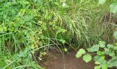 Tocht Stappen Delincourt - Delincourt, Le Mesnil, Reilly, La vierge, Delincourt - Photo 5
