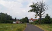 Randonnée A pied Wächtersbach - Wächersbach - Panoramaweg - Photo 5
