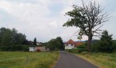 Tocht Te voet Wächtersbach - Wächersbach - Panoramaweg - Photo 5