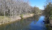 Tocht Stappen Savigny-le-Temple - savigny le temple  - Photo 4