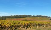 Trail Walking Cavillargues - Cavillargues  - Photo 1