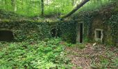 Randonnée Marche Héricourt - Héricourt - fort Mont Vaudois - poudriére puis batterie d'Urcerey - Echenans - Photo 17