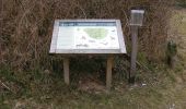 Tocht Te voet East Suffolk - St Helena Trail - Photo 4