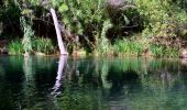 Tour Wandern Correns - Le patrimoine - l'Argens - Le village - Photo 16