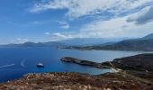 Tocht Stappen Calvi - Phare de Revellata - Photo 4