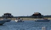 Randonnée Bateau à moteur Arcachon - Tour de l'île aux Oiseaux - Photo 5