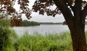 Tocht Stappen Péruwelz - Forêt de Bon-Secours et pays minier de l’Escaut - Photo 3