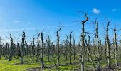 Excursión Senderismo Sint-Truiden - La vallée fruitière à Saint-Trond - Photo 1