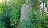 Trail On foot Gomadingen - Zugangsweg - Eichhalde (Markungsgrenze) - Bitz - Ruine Lichtenstein - Burren - Küche - Hermannsdorf - Photo 2