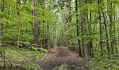 Tour Wandern Sorbiers - Randonnée au dessus de Sorbiers  - Photo 6