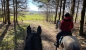 Tour Reiten Léglise - Légalise via Rancimont - Photo 1